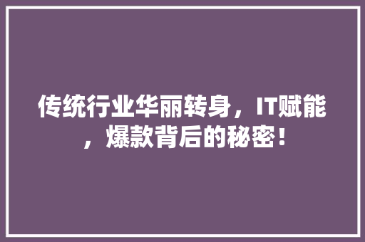 传统行业华丽转身，IT赋能，爆款背后的秘密！