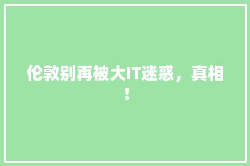 伦敦别再被大IT迷惑，真相！