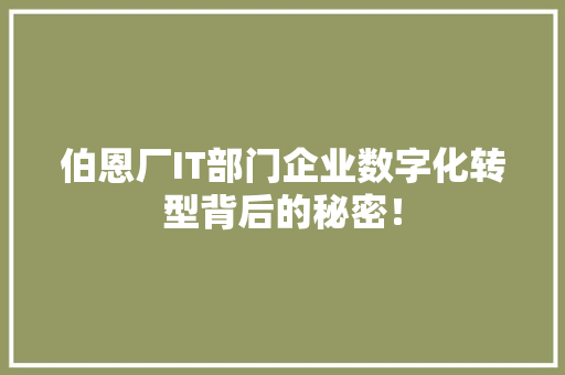 伯恩厂IT部门企业数字化转型背后的秘密！ 英文谷歌算法