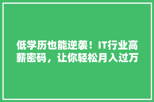 低学历也能逆袭！IT行业高薪密码，让你轻松月入过万