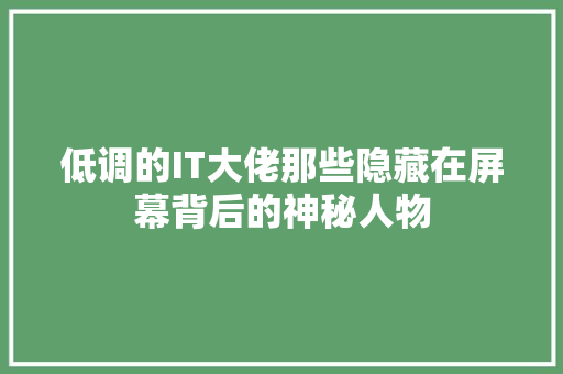 低调的IT大佬那些隐藏在屏幕背后的神秘人物