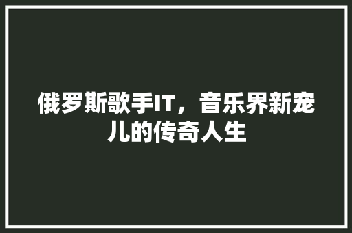 俄罗斯歌手IT，音乐界新宠儿的传奇人生
