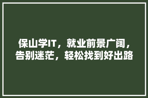 保山学IT，就业前景广阔，告别迷茫，轻松找到好出路！