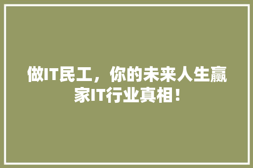 做IT民工，你的未来人生赢家IT行业真相！