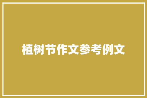 ii7静态网站,构建高效、便捷的在线平台