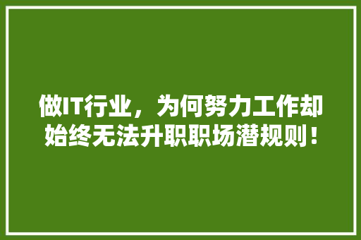 做IT行业，为何努力工作却始终无法升职职场潜规则！