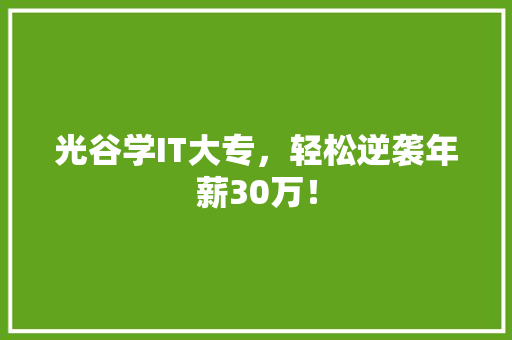 光谷学IT大专，轻松逆袭年薪30万！