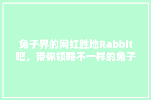 兔子界的网红胜地Rabbit吧，带你领略不一样的兔子生活