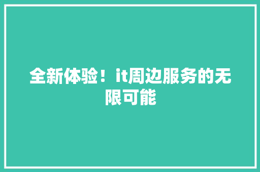 全新体验！it周边服务的无限可能