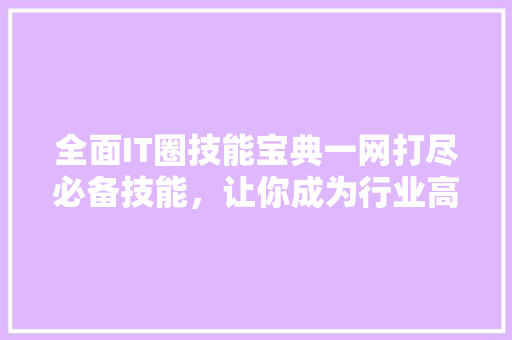 全面IT圈技能宝典一网打尽必备技能，让你成为行业高手！
