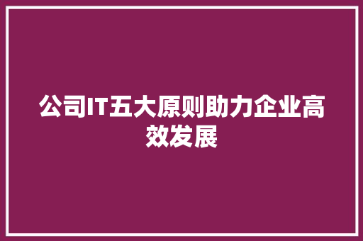 公司IT五大原则助力企业高效发展