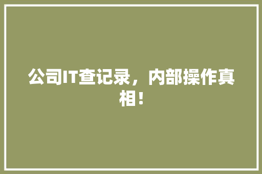 公司IT查记录，内部操作真相！ AI技术学习