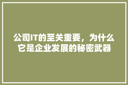公司IT的至关重要，为什么它是企业发展的秘密武器
