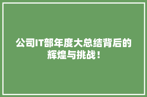 公司IT部年度大总结背后的辉煌与挑战！