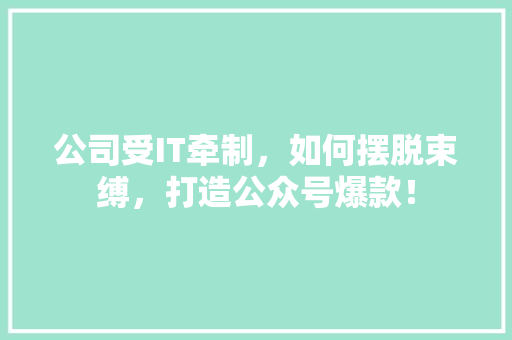 公司受IT牵制，如何摆脱束缚，打造公众号爆款！