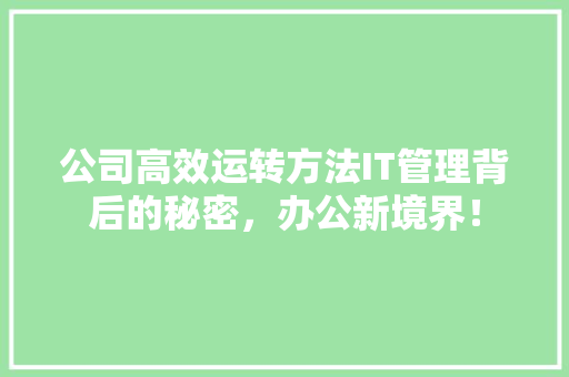 公司高效运转方法IT管理背后的秘密，办公新境界！ seo技术