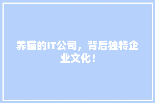 养猫的IT公司，背后独特企业文化！