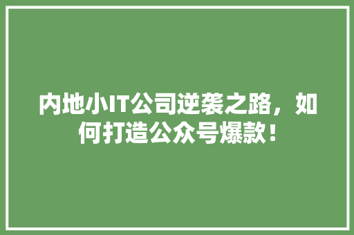 内地小IT公司逆袭之路，如何打造公众号爆款！