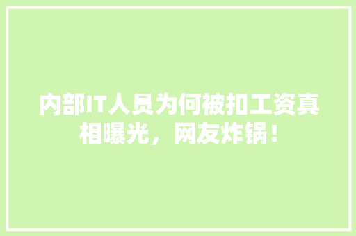 内部IT人员为何被扣工资真相曝光，网友炸锅！