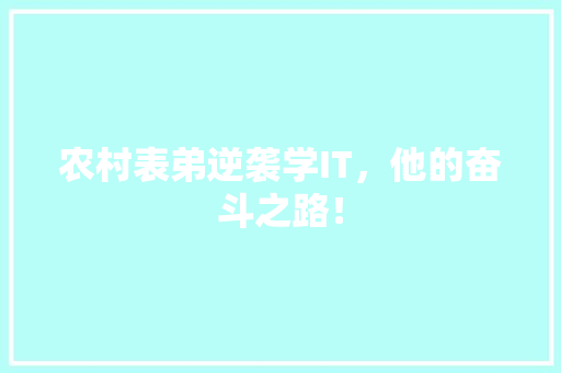 农村表弟逆袭学IT，他的奋斗之路！ 360搜优化