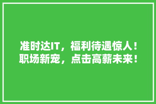 准时达IT，福利待遇惊人！职场新宠，点击高薪未来！