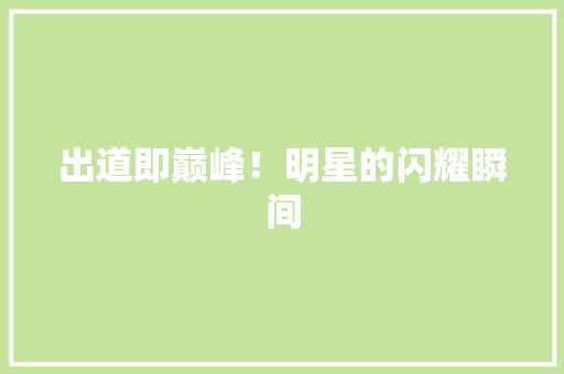 出道即巅峰！明星的闪耀瞬间 网站优化