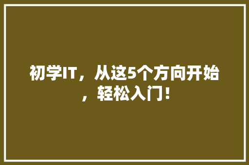初学IT，从这5个方向开始，轻松入门！