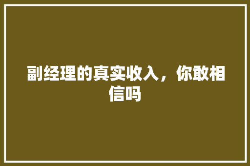 副经理的真实收入，你敢相信吗