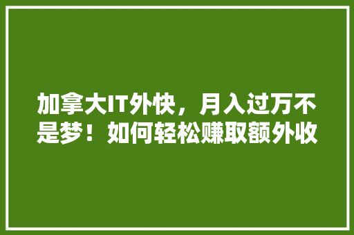 加拿大IT外快，月入过万不是梦！如何轻松赚取额外收入！ 网站优化