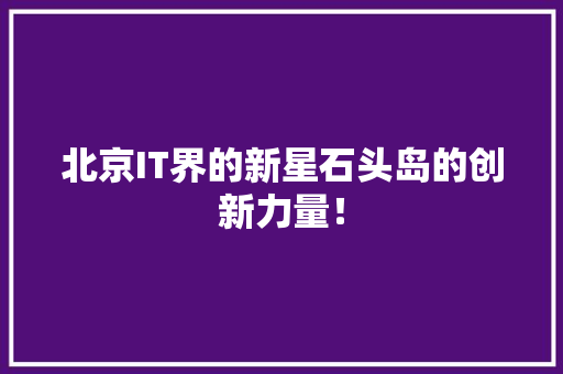 北京IT界的新星石头岛的创新力量！