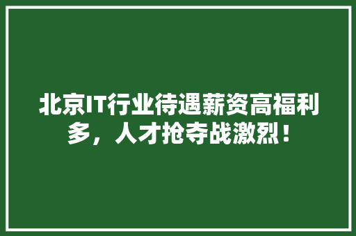 北京IT行业待遇薪资高福利多，人才抢夺战激烈！ 搜狗优化