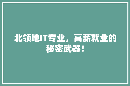 北领地IT专业，高薪就业的秘密武器！