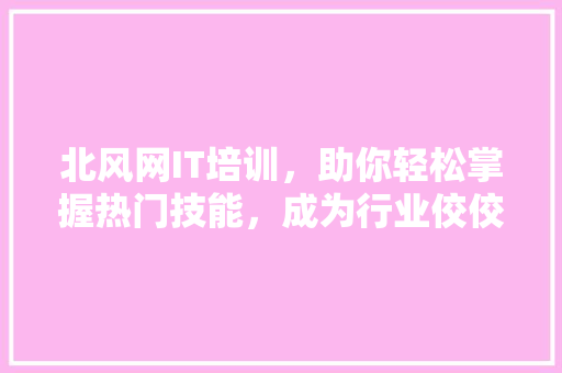 北风网IT培训，助你轻松掌握热门技能，成为行业佼佼者！