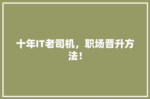 十年IT老司机，职场晋升方法！