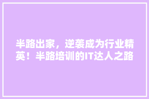 半路出家，逆袭成为行业精英！半路培训的IT达人之路！