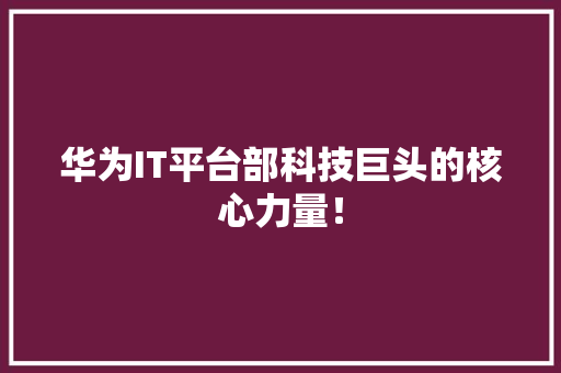 华为IT平台部科技巨头的核心力量！