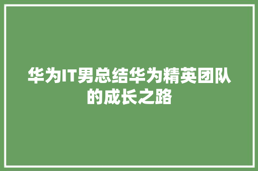 华为IT男总结华为精英团队的成长之路 网站开发