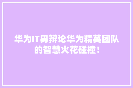 华为IT男辩论华为精英团队的智慧火花碰撞！ 头条优化