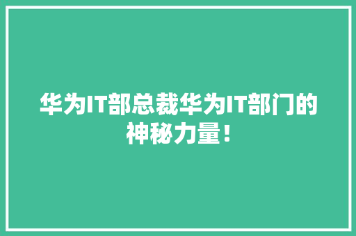 华为IT部总裁华为IT部门的神秘力量！