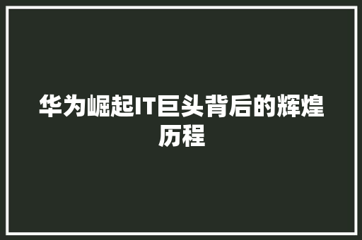 华为崛起IT巨头背后的辉煌历程 网站优化