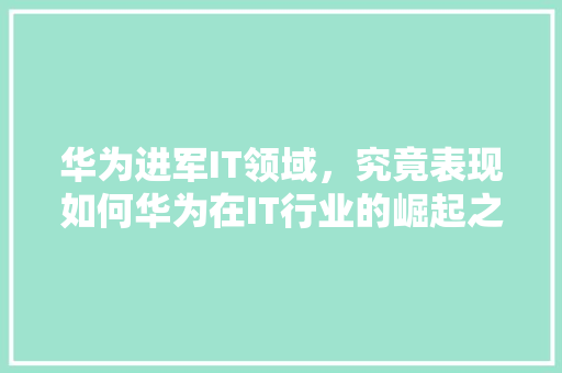 华为进军IT领域，究竟表现如何华为在IT行业的崛起之路！