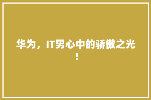 华为，IT男心中的骄傲之光！ AI技术学习