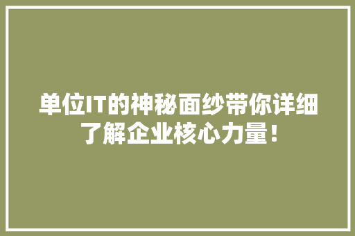 单位IT的神秘面纱带你详细了解企业核心力量！ 网站开发