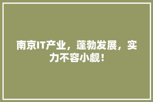 南京IT产业，蓬勃发展，实力不容小觑！