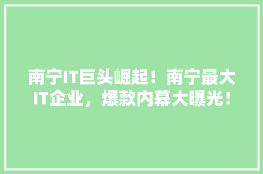 南宁IT巨头崛起！南宁最大IT企业，爆款内幕大曝光！