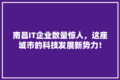 南昌IT企业数量惊人，这座城市的科技发展新势力！