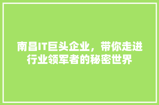 南昌IT巨头企业，带你走进行业领军者的秘密世界