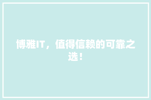 博雅IT，值得信赖的可靠之选！