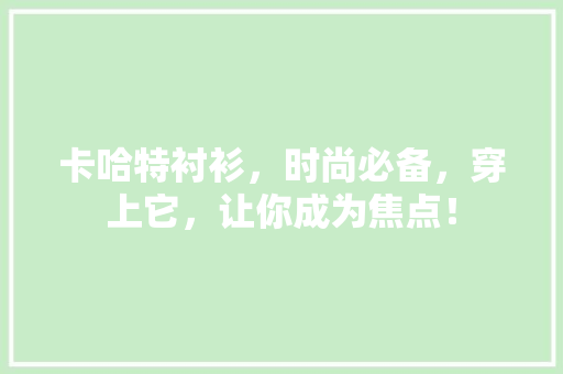卡哈特衬衫，时尚必备，穿上它，让你成为焦点！