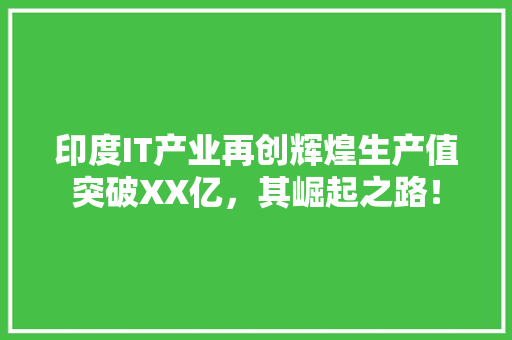 印度IT产业再创辉煌生产值突破XX亿，其崛起之路！